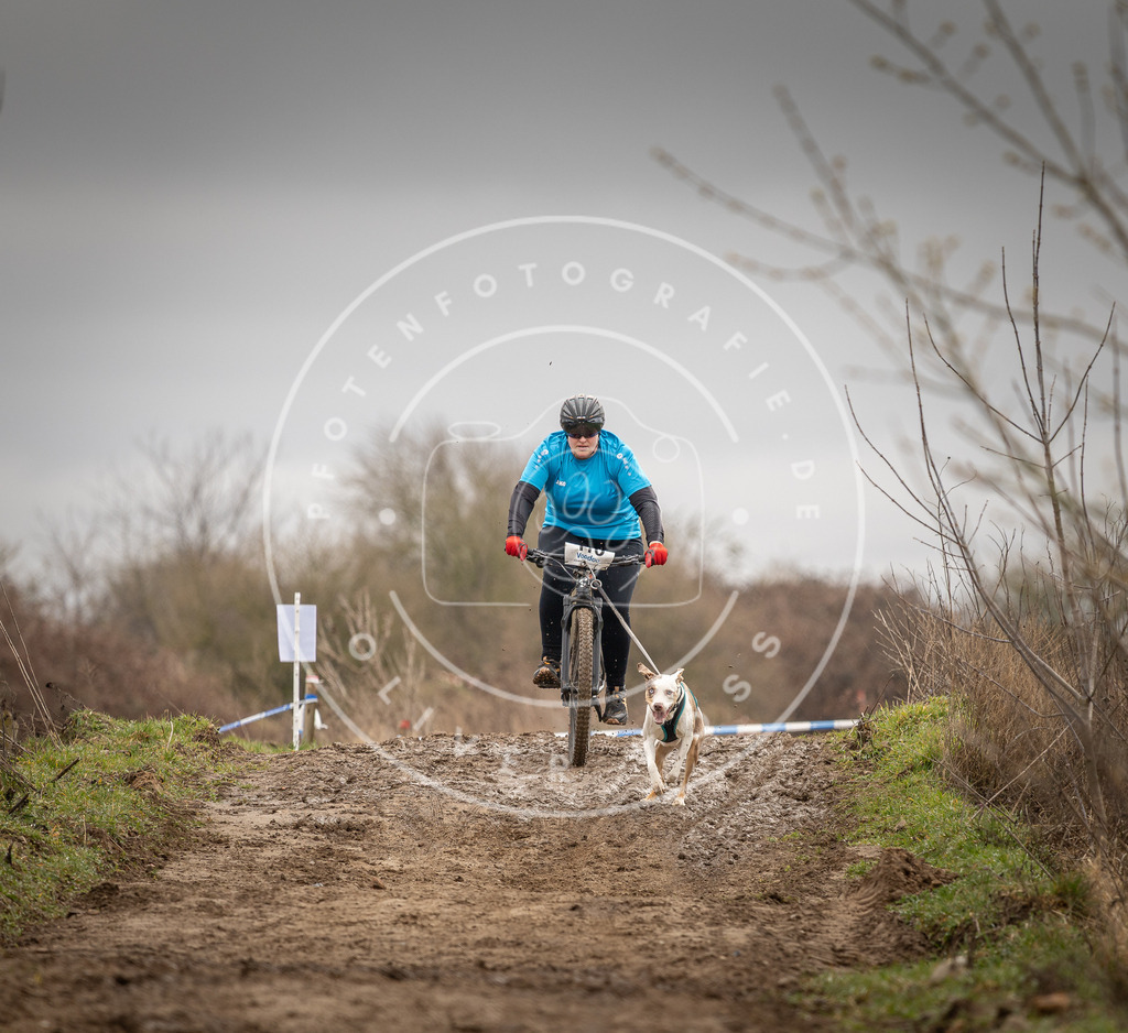 DV3A0661 | Hundefotografie, Tierfotograf, Pfotenfotografie, Fotoshooting Hund, Hunde Portrait, Hundesport, Hundeportraits, Heideshooting, Hunde, Sportfotograf, Hundefotograf, Turnierhundsport, THS,  - Realisiert mit Pictrs.com