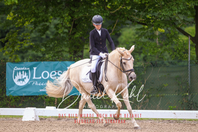 DKP42060 | Turniersportfotografie; Pferdefotografie; Dressurfotografie