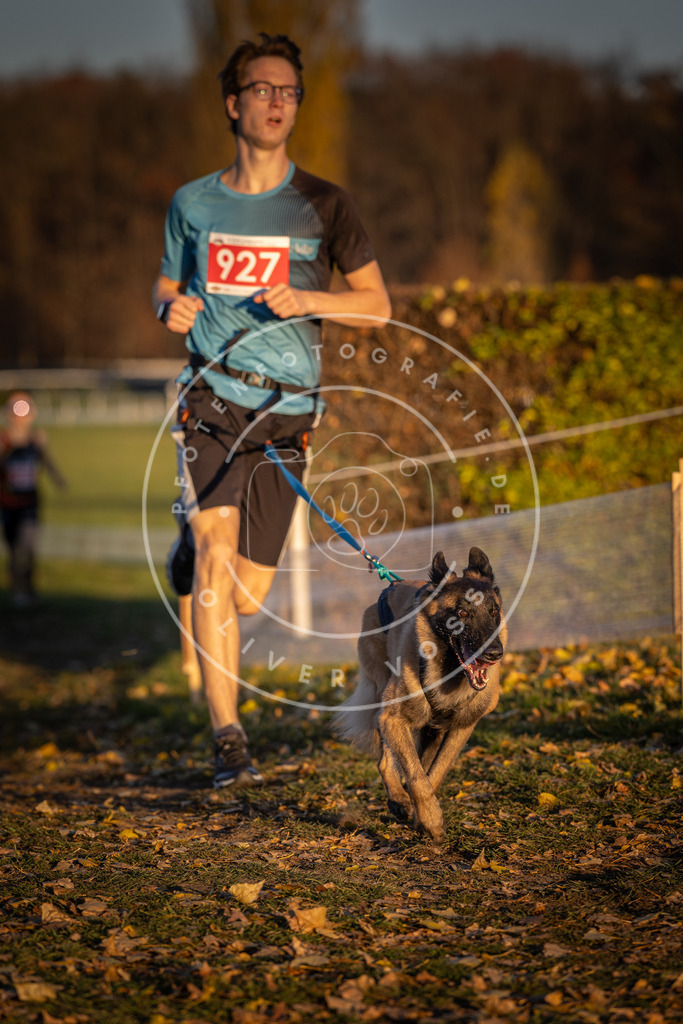 CaniXpix_DV3A5075 | Hundefotografie, Tierfotograf, Pfotenfotografie, Fotoshooting Hund, Hunde Portrait, Hundesport, Hundeportraits, Heideshooting, Hunde, Sportfotograf, Hundefotograf, Turnierhundsport, THS,  - Realisiert mit Pictrs.com