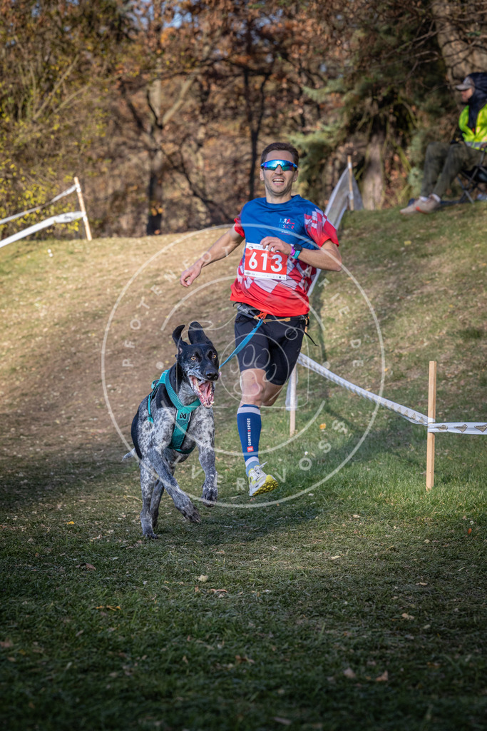 CaniXpix_0L8A8717 | Hundefotografie, Tierfotograf, Pfotenfotografie, Fotoshooting Hund, Hunde Portrait, Hundesport, Hundeportraits, Heideshooting, Hunde, Sportfotograf, Hundefotograf, Turnierhundsport, THS,  - Realisiert mit Pictrs.com