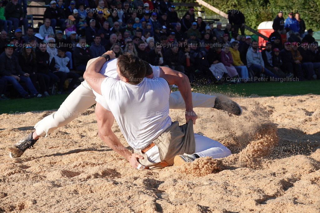 DSC01929 | Schwingen - Realisiert mit Pictrs.com