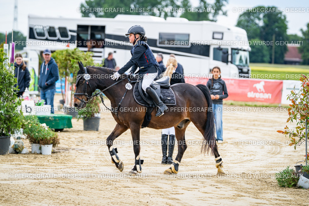 DSC06433 | Pferdegrafie