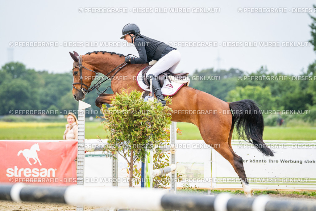 DSC02680 | Pferdegrafie