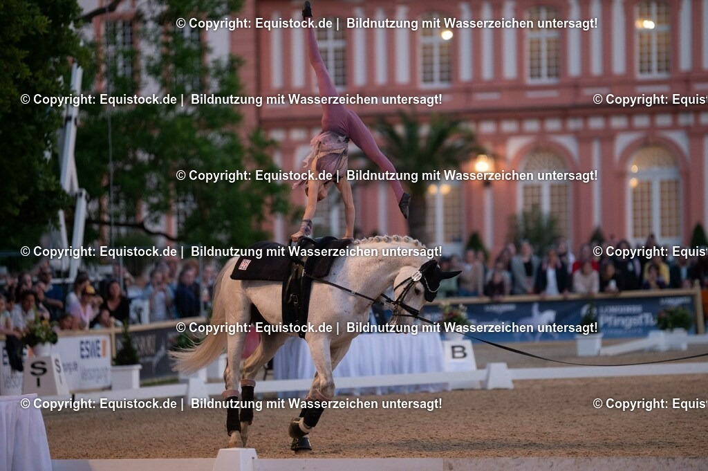 20230527_Voltigieren_NASPA_Flutlicht_0360 | equistock