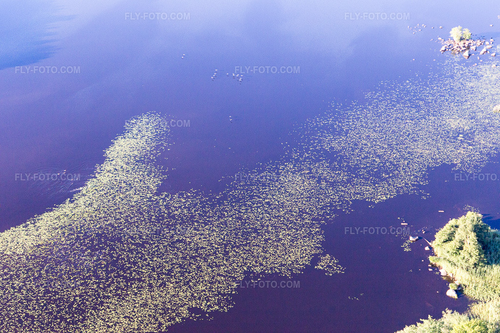 Aerial view: View of the town in Skäggalösa in the state Kronoberg, Sweden. – Photo: IMG_108314.jpg taken on 06/30/2018 by Werner Riehm/FLY-FOTO.com – Resolution of the original: 5472 x 3648 px