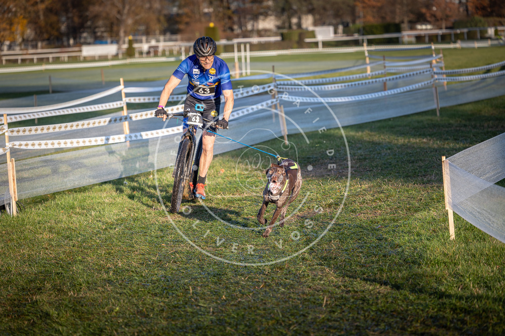 CaniXpix_0L8A3118 | Hundefotografie, Tierfotograf, Pfotenfotografie, Fotoshooting Hund, Hunde Portrait, Hundesport, Hundeportraits, Heideshooting, Hunde, Sportfotograf, Hundefotograf, Turnierhundsport, THS,  - Realisiert mit Pictrs.com