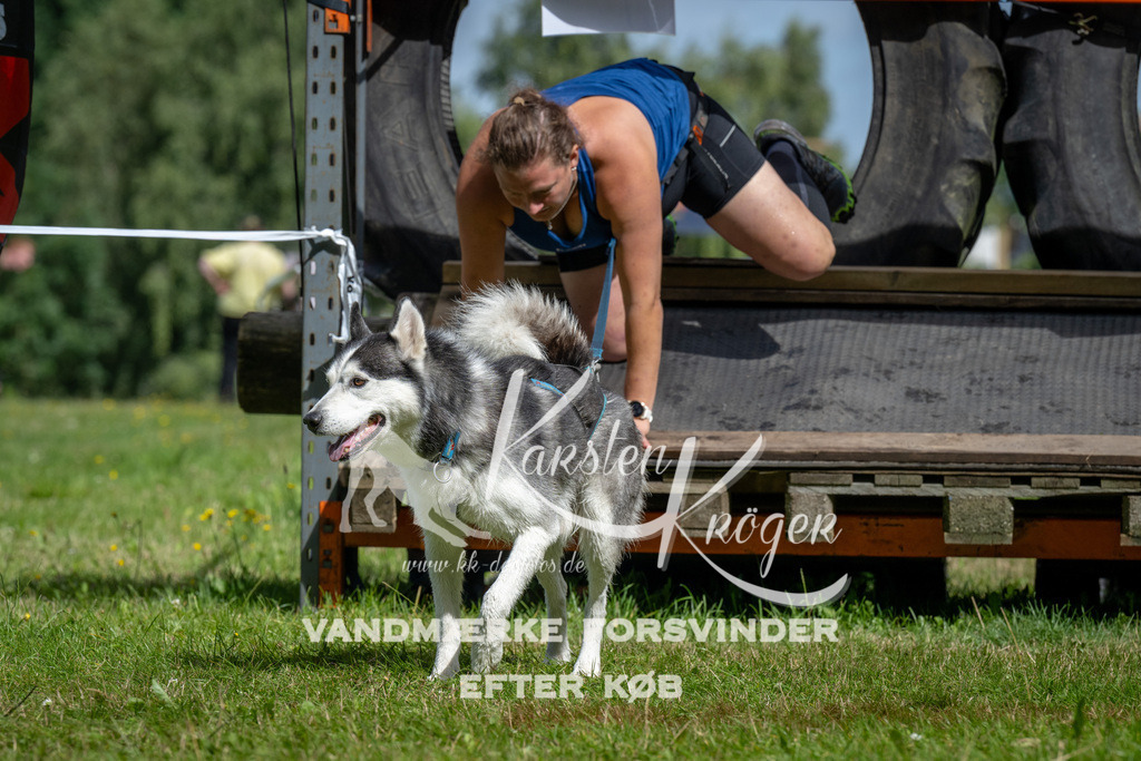 1129_ZZ92283 | kk-dogfotos