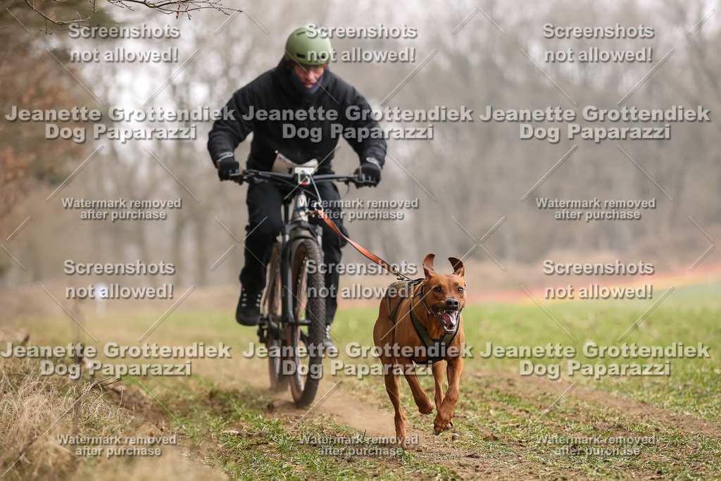 Dog Paparazzi - Plate 2026-50 | Dog Paparazzi Jeanette Grottendiek Fotografie & Videografie - Realisiert mit Pictrs.com