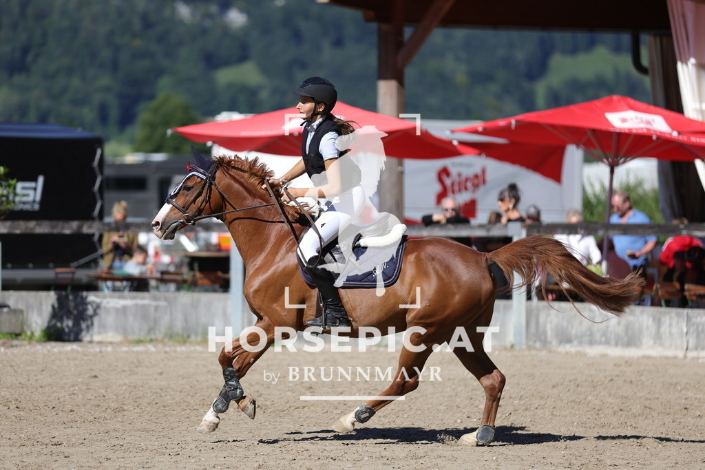 0P6A5200 | Willkommen bei Brunnmayr - Design & Fotografie – Ihrem Spezialisten für Reitturniere und Pferdeveranstaltungen in Oberösterreich, Salzburg und Bayern! Seit über 17 Jahren sind wir leidenschaftlich dabei.