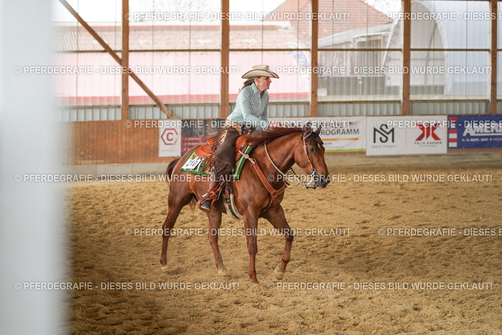 DSC05030 | Pferdegrafie