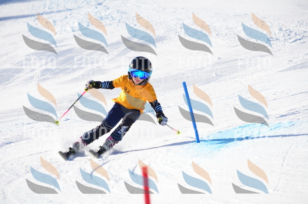 C5991 | holidayphoto