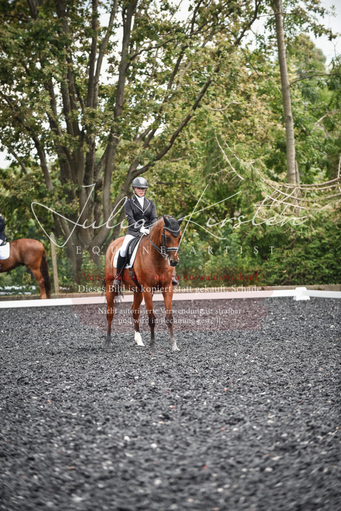 DSC_5011 | Pferde- und Turnierfotografie in Westsachsen. Pferdeportraits, Auftragszeichnungen und intuitive Kunst.