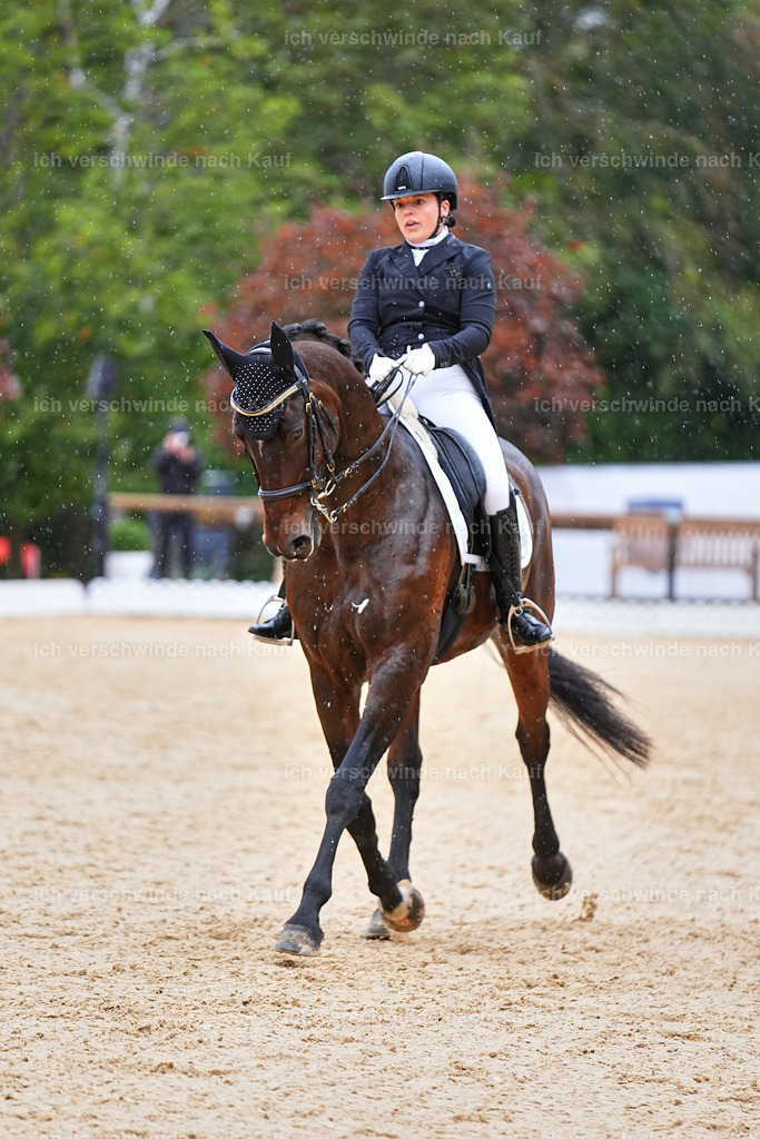 8_1-206-Klasse S_  -Marixx-4248 | working equitationturnier fotograf videograf stoibphotography marixx film working equitation deutschland reitsport turnierfotografie eventfotografie equestrian events