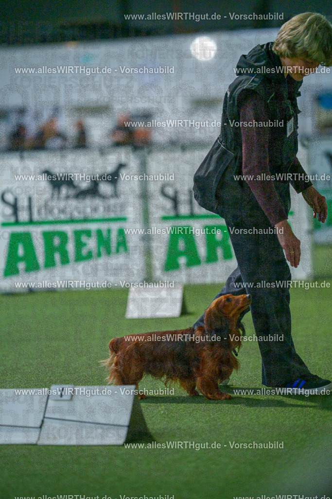 7R503633 | Professionelle Tierfotografie in Mönchengladbach von Daniel Wirth (allesWIRTHgut). Liebevolle & natürliche Bilder von Hunden & Katzen für unvergessliche Erinnerungen.