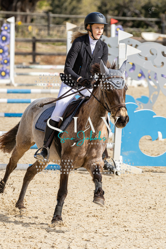 IMG_4259 | s-jay-photography - Realisiert mit Pictrs.com