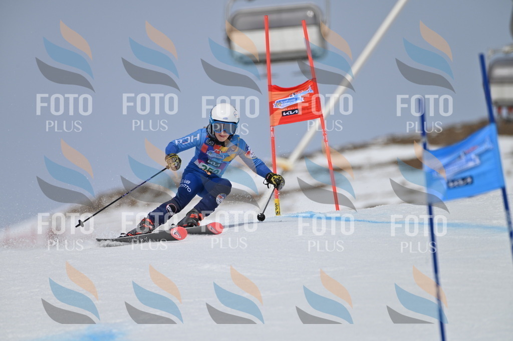 BGV_4988 | holidayphoto