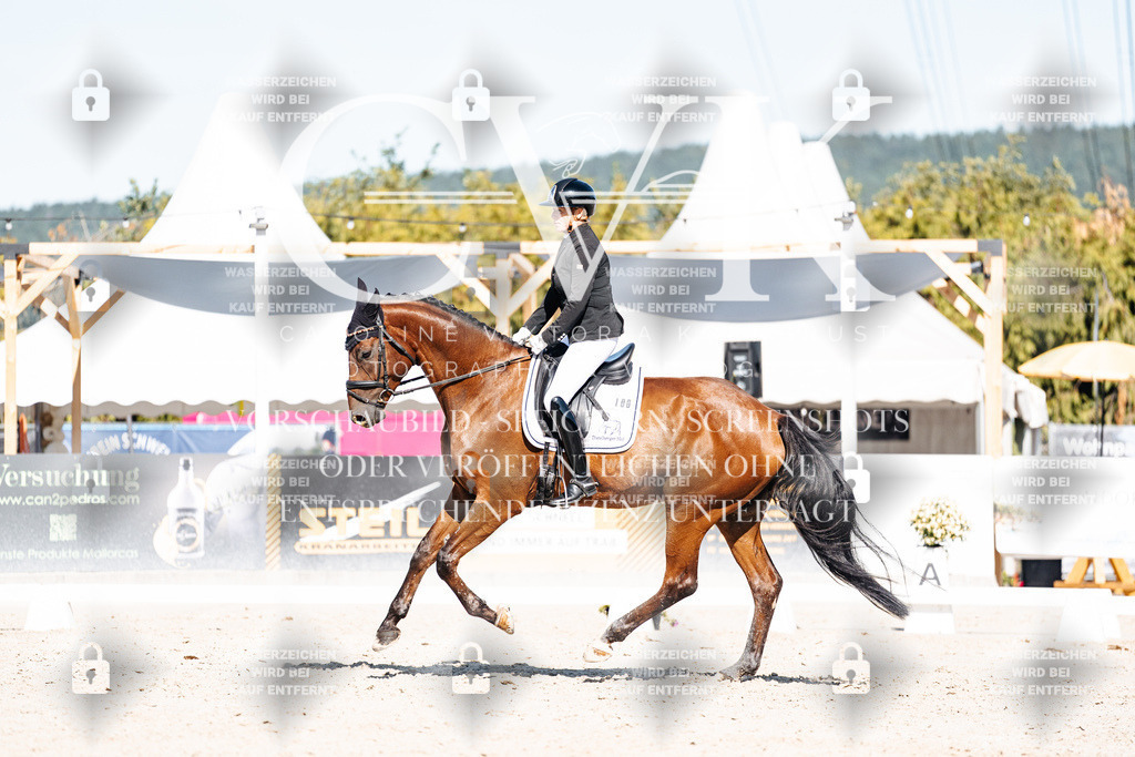 CK908289 | Turnierfotografie Pferdefotografie Trier Rheinland-Pfalz Pferdesport Reitsport Tierfotografie Sportfotografie Pferdevideo Pferdevideografie Equestrianvideography equestrianphotography  - Realisiert mit Pictrs.com