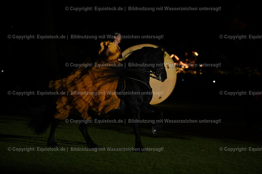 20230526_Pferdenacht_1569 | equistock