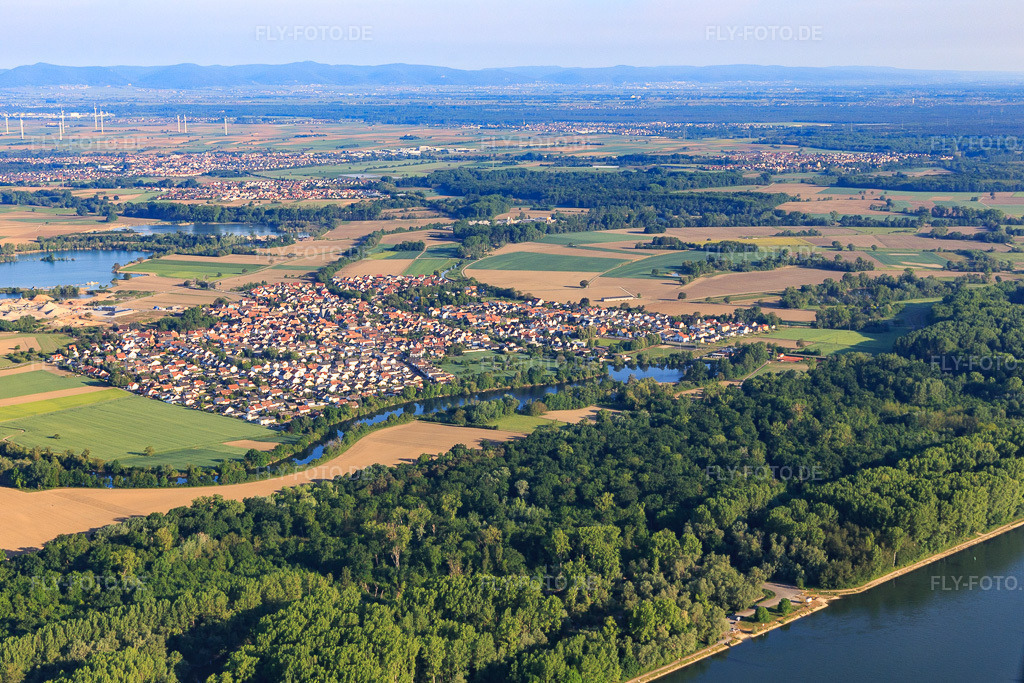 Luftbild: Dorfansicht von Osten jenseits des Rhein in Leimersheim im Bundesland Rheinland-Pfalz in Deutschland. Foto: IMG_120671.jpg vom 03.05.2020 durch Werner Riehm/FLY-FOTO.de