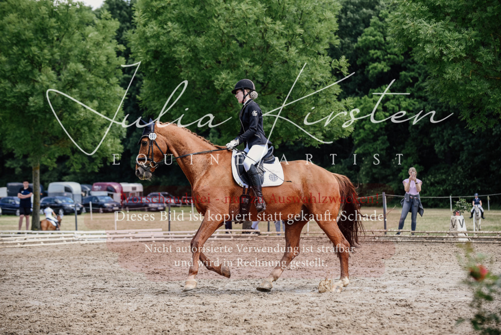 DSC_1586 | Pferde- und Turnierfotografie in Westsachsen. Pferdeportraits, Auftragszeichnungen und intuitive Kunst.