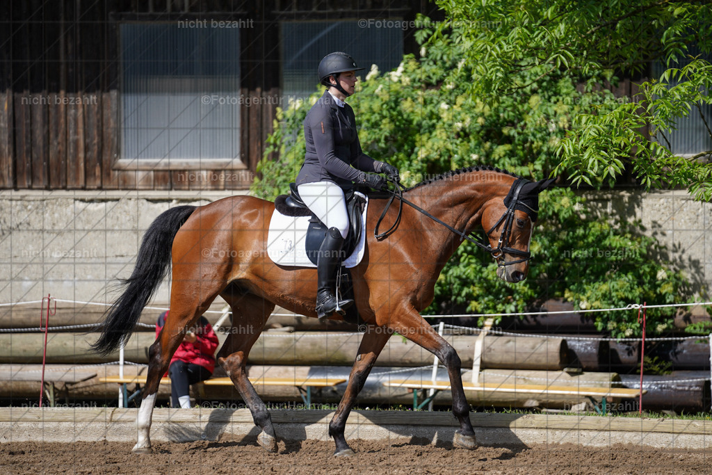 20240519-FAH04741 | Turnierbilder Niederseeon 2024, Vielseitigkeitsdressur, Reitsportbilder aus dem Landkreit Ebersberg, Gut Steinsee, RC Steinsee, Fotoagentur Herrmann