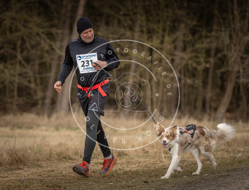 DV3A5347 | Hundefotografie, Tierfotograf, Pfotenfotografie, Fotoshooting Hund, Hunde Portrait, Hundesport, Hundeportraits, Heideshooting, Hunde, Sportfotograf, Hundefotograf, Turnierhundsport, THS,  - Realisiert mit Pictrs.com