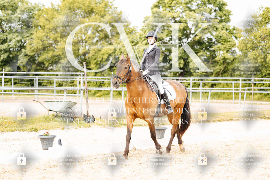 CK904762 | Turnierfotografie Pferdefotografie Trier Rheinland-Pfalz Pferdesport Reitsport Tierfotografie Sportfotografie Pferdevideo Pferdevideografie Equestrianvideography equestrianphotography  - Realisiert mit Pictrs.com