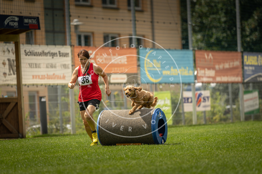 Pfotenfotografie_DV3A3643 | Hundefotografie, Tierfotograf, Pfotenfotografie, Fotoshooting Hund, Hunde Portrait, Hundesport, Hundeportraits, Heideshooting, Hunde, Sportfotograf, Hundefotograf, Turnierhundsport, THS,  - Realisiert mit Pictrs.com