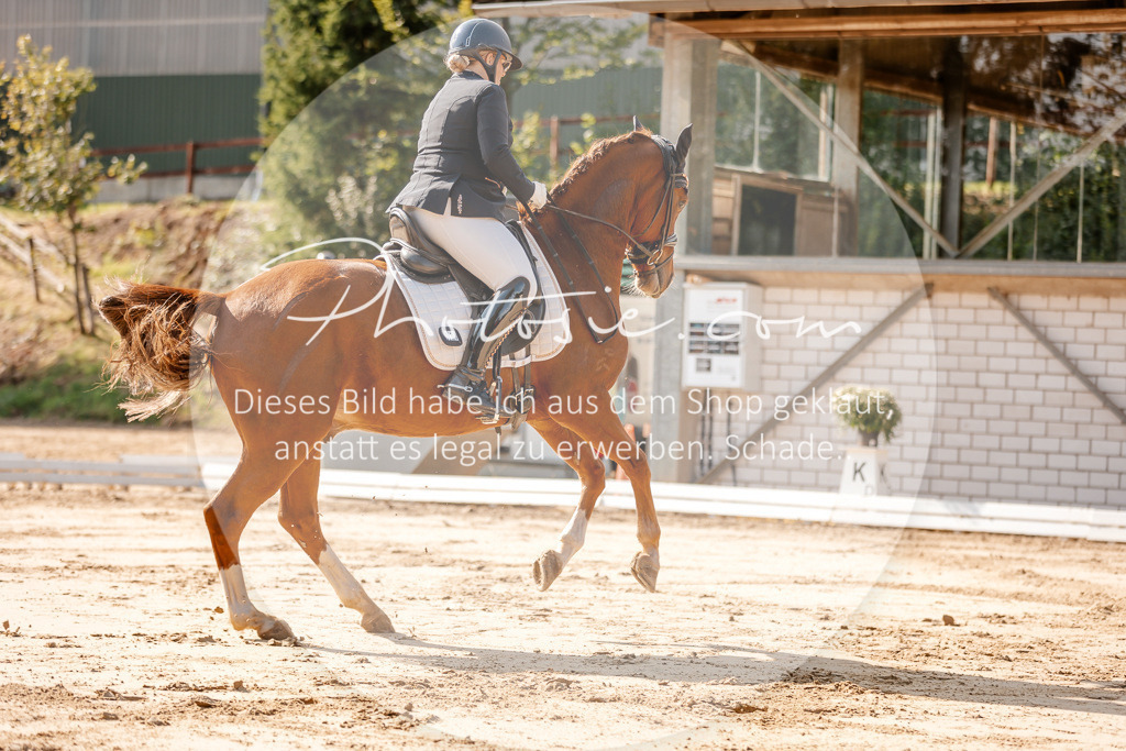 3I6A3442 | Stimmungsvolle Portraits und Reitsportfotografie im Ruhrgebiet und im Münsterland.

Pferdefotografie, Hundefotografie, Tierfotografie, Reportagen, Portraits von Tier und Mensch, Turnierfotografie in Bochum, Recklinghausen, Marl, Haltern am See, Dülmen.. - Realisiert mit Pictrs.com
