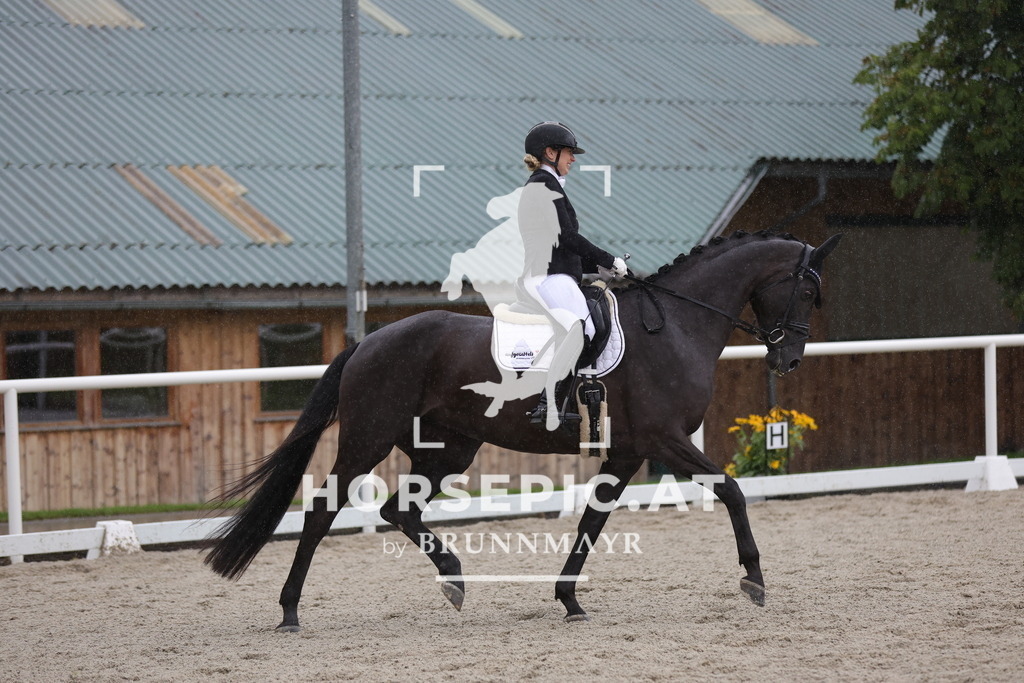 0P6A0442 | Willkommen bei Brunnmayr - Design & Fotografie – Ihrem Spezialisten für Reitturniere und Pferdeveranstaltungen in Oberösterreich, Salzburg und Bayern! Seit über 17 Jahren sind wir leidenschaftlich dabei.