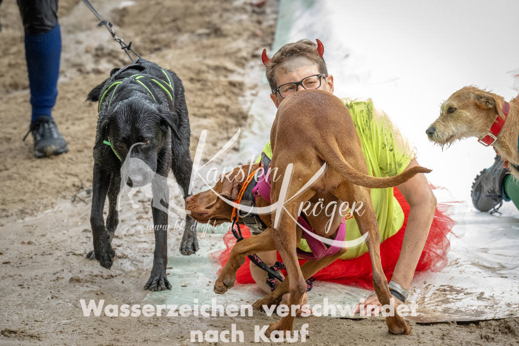 1517_ZZ96389 | kk-dogfotos