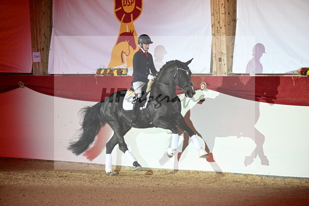 Boccacio_Fiedler_3262149 | hf-fotografie - Realisiert mit Pictrs.com