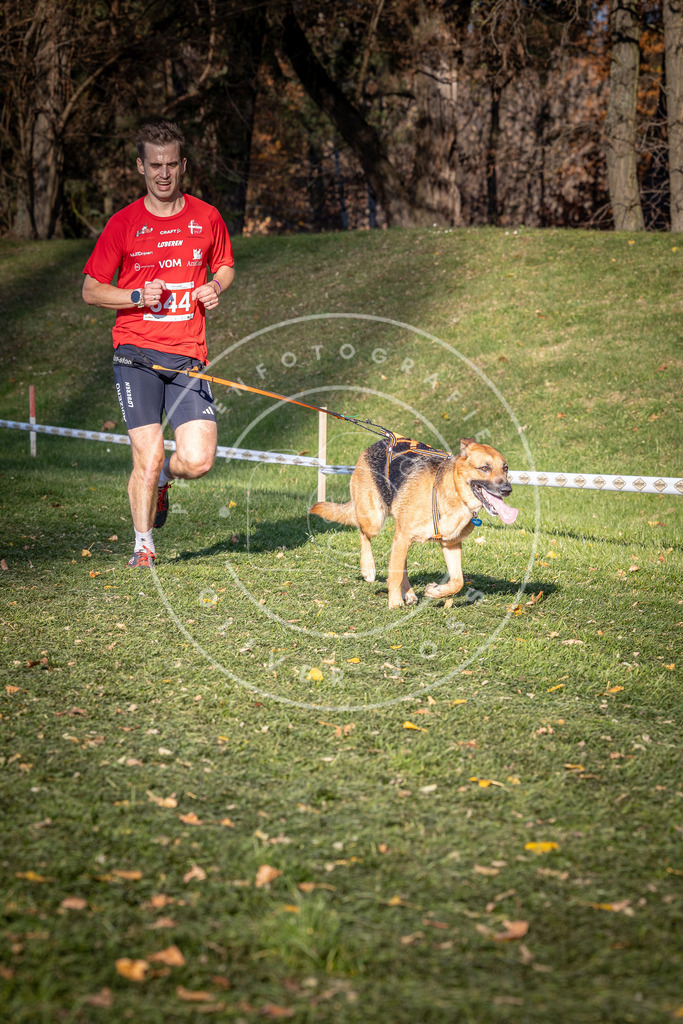 CaniXpix_0L8A9106 | Hundefotografie, Tierfotograf, Pfotenfotografie, Fotoshooting Hund, Hunde Portrait, Hundesport, Hundeportraits, Heideshooting, Hunde, Sportfotograf, Hundefotograf, Turnierhundsport, THS,  - Realisiert mit Pictrs.com