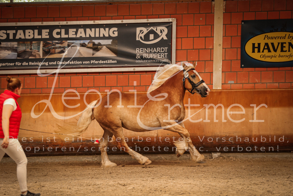 SaFL00128 | Leoni Ertmer Photography - Realisiert mit Pictrs.com