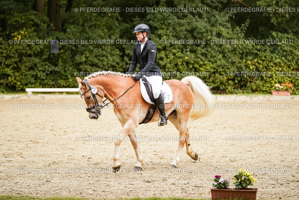 DSC00092 | Pferdegrafie