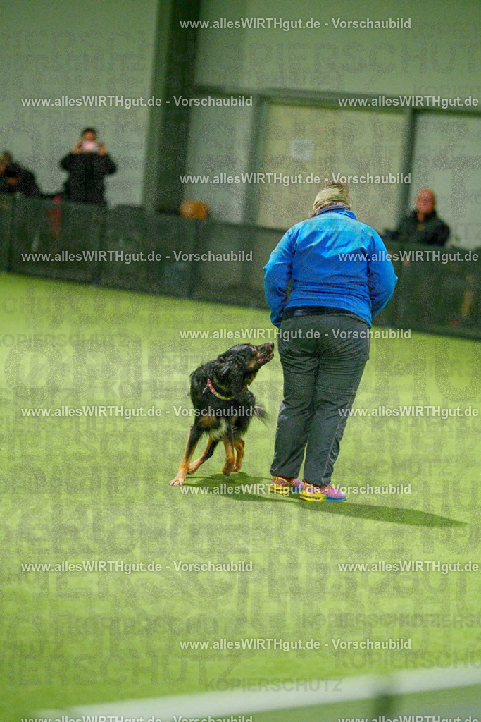 7R508694 | Professionelle Tierfotografie in Mönchengladbach von Daniel Wirth (allesWIRTHgut). Liebevolle & natürliche Bilder von Hunden & Katzen für unvergessliche Erinnerungen.