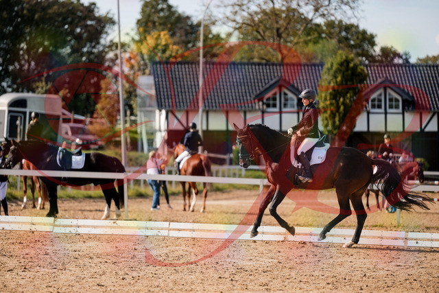 2026_10_03_Siefer-Hof_133657_Z63_98944068 | Professionelle Reitsport-, Turnier- und Eventfotografie von Robert Broda. Galerien mit ausgewählten und bearbeiteten Bildern direkt online ansehen und bestellen.