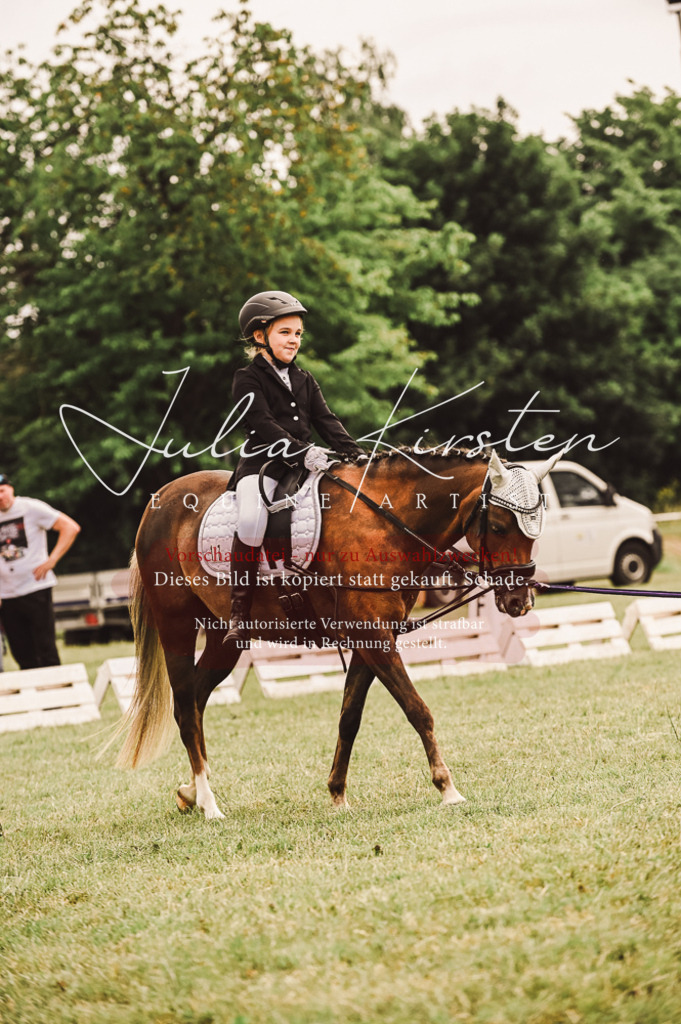 DSC_5218 | Pferde- und Turnierfotografie in Westsachsen. Pferdeportraits, Auftragszeichnungen und intuitive Kunst.