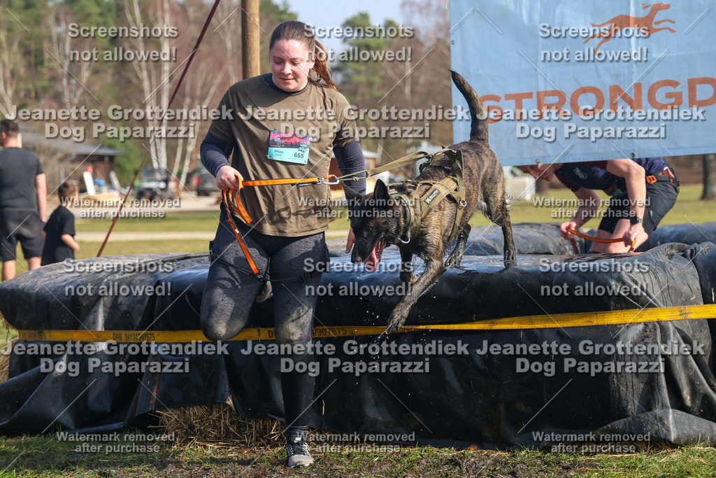 Dog Paparazzi - Strongdog North Mrz26-2127 | Dog Paparazzi Jeanette Grottendiek Fotografie & Videografie - Realisiert mit Pictrs.com