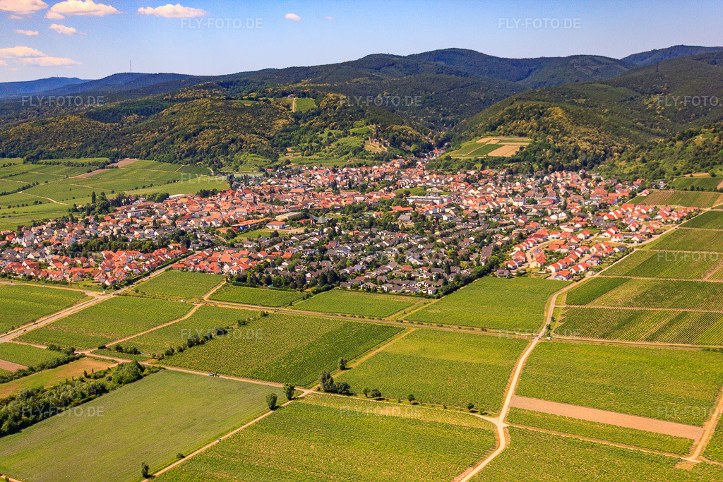 Luftbild: Winzerdorf zwischen Weinbergen von Nordosten in Wachenheim an der Weinstraße im Bundesland Rheinland-Pfalz in Deutschland. Foto: IMG_30130.jpg vom 05.07.2010 durch Werner Riehm/FLY-FOTO.de