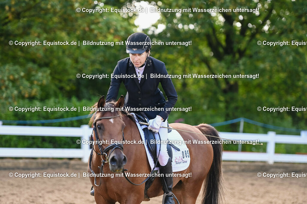 20230716_04_Dressurreiterprüfung Kl.A_0191 | equistock