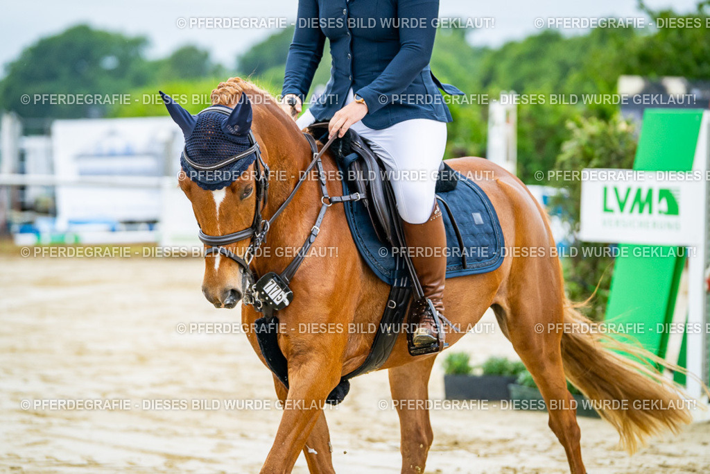 DSC01716 | Pferdegrafie