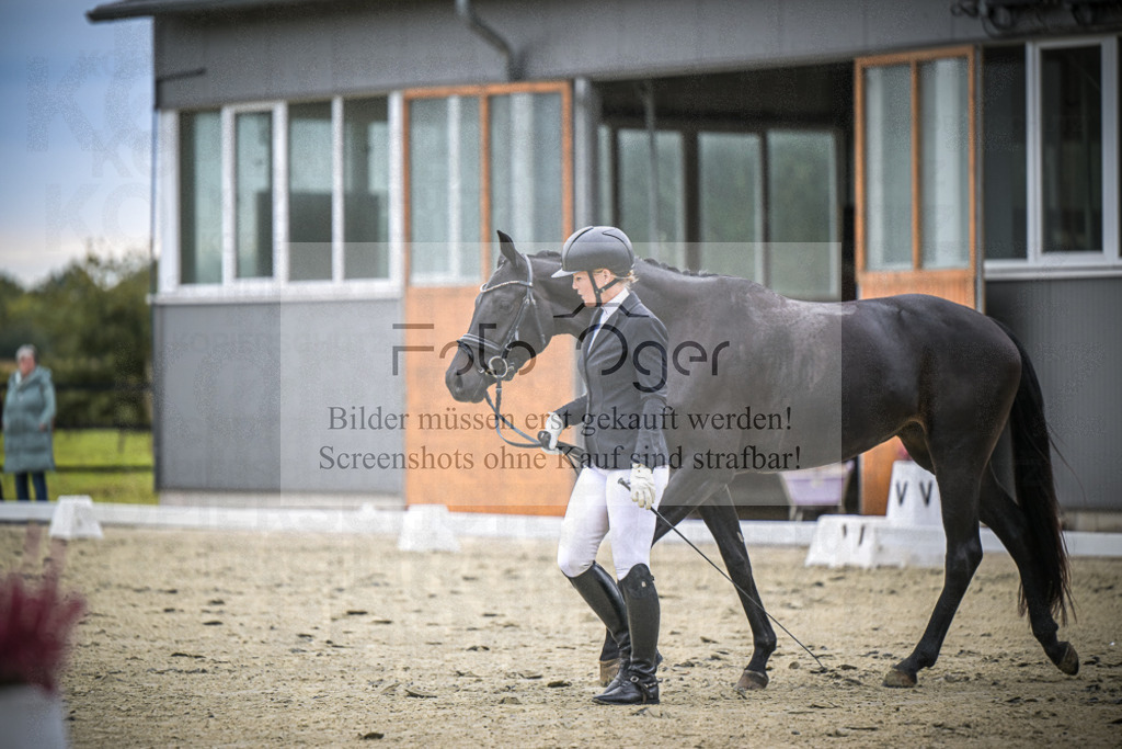 DOS_1643 | Entdecke hochwertige Reitturnierfotos von Foto Oger. Professionell, emotional und authentisch – jetzt Lieblingsmomente im Shop bestellen.Deutschlandweite Turnierfotografie. - Realisiert mit Pictrs.com