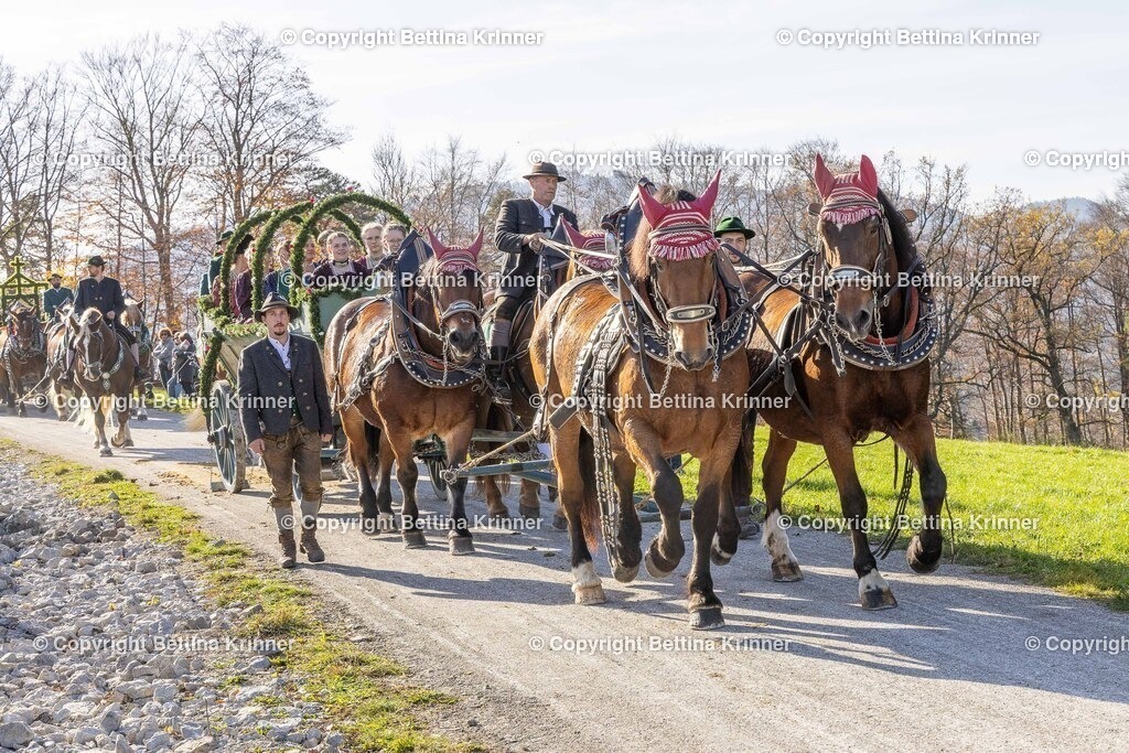 LBT24-1587 | foto-bettina-krinner - Realisiert mit Pictrs.com
