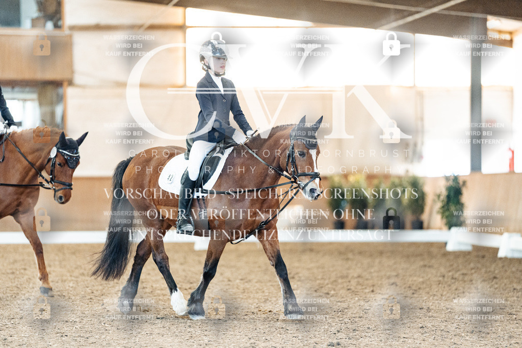 CK907837 | Turnierfotografie Pferdefotografie Trier Rheinland-Pfalz Pferdesport Reitsport Tierfotografie Sportfotografie Pferdevideo Pferdevideografie Equestrianvideography equestrianphotography  - Realized with Pictrs.com