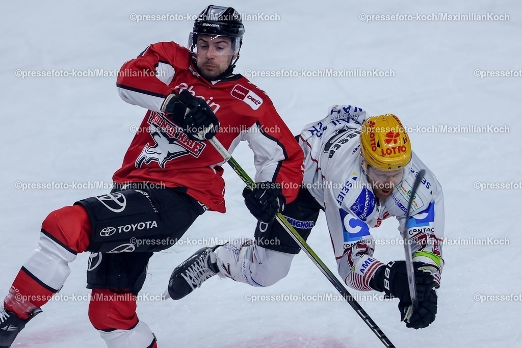 KEC24032501039 | 24.03.2025, Eishockey, DEL Play-offs, Kölner Haie - Fischtown Pinguins Bremerhaven, Viertelfinale Spiel 4, Lanxess-Arena Köln: Maximilian Kammerer (Kölner Haie #9) im Zweikampf gegen Phillip Bruggisser (Fischtown Pinguins #72) 