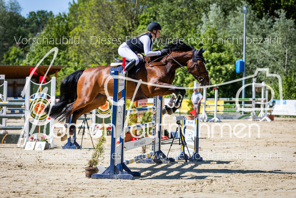 Donop24-M-Spr-054 | MomenTaufnahmen Pferdesportfotos