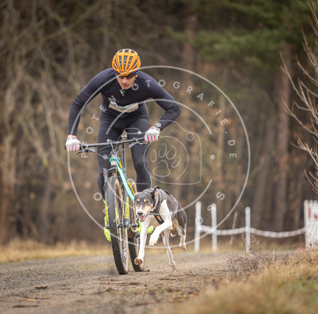 DV3A3187 | Hundefotografie, Tierfotograf, Pfotenfotografie, Fotoshooting Hund, Hunde Portrait, Hundesport, Hundeportraits, Heideshooting, Hunde, Sportfotograf, Hundefotograf, Turnierhundsport, THS,  - Realisiert mit Pictrs.com