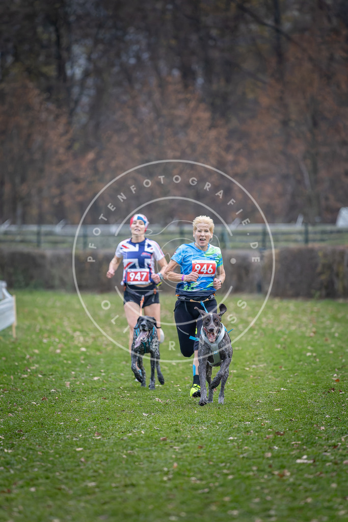 CaniXpix_DV3A7275 | Hundefotografie, Tierfotograf, Pfotenfotografie, Fotoshooting Hund, Hunde Portrait, Hundesport, Hundeportraits, Heideshooting, Hunde, Sportfotograf, Hundefotograf, Turnierhundsport, THS,  - Realisiert mit Pictrs.com