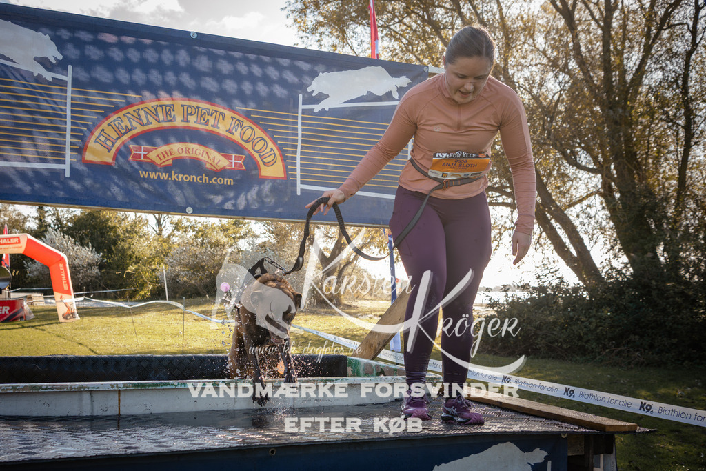 1214_ZZ95166 | kk-dogfotos